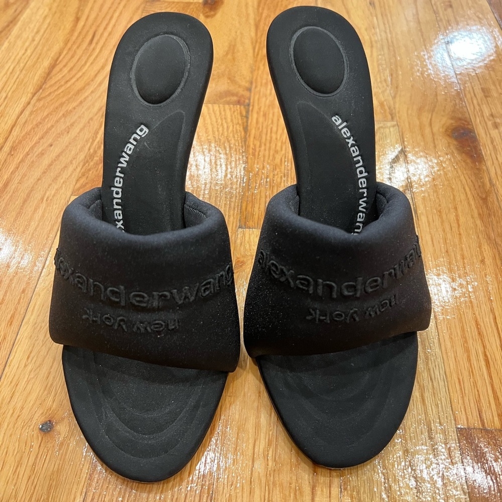 Alexander wang heals
